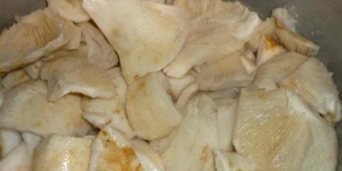 Kako kiseliti gljive sa belim lukom: recepti za soljenje za zimu